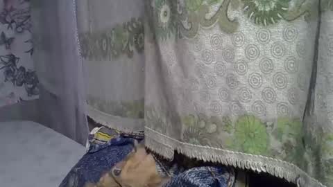 zarinamarlin online show from 05-05-26, 06:21