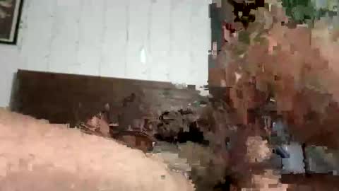 zayden online show from 10-23-25, 07:07