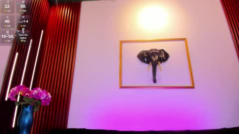  Zayda  online show from 02-26-26, 08:30