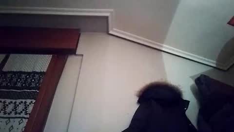 Snapshot of zigor13 chatting on 02-04-26, 09:31 zigor13 online show from 02-04-26, 09:31