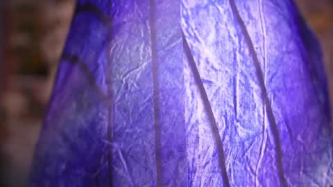 Snapshot of zoey_fox_ chatting on 04-08-26, 11:27 zoey fox online show from 04-08-26, 11:27