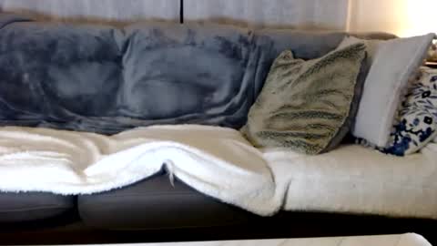 Snapshot of zzman9 chatting on 02-17-25, 10:47 ZZMan online show from 02-17-25, 10:47