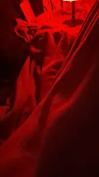 BirdyOfficial   online show from 11-07-25, 01:27