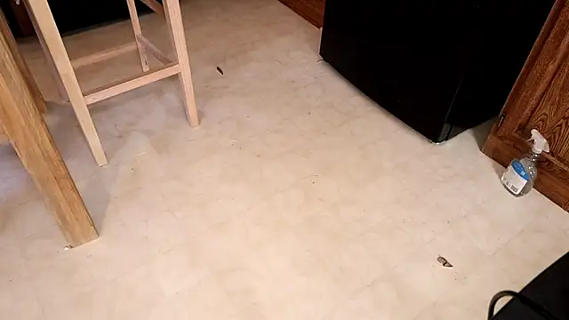 xxpixeyxx online show from 02-12-26, 05:52