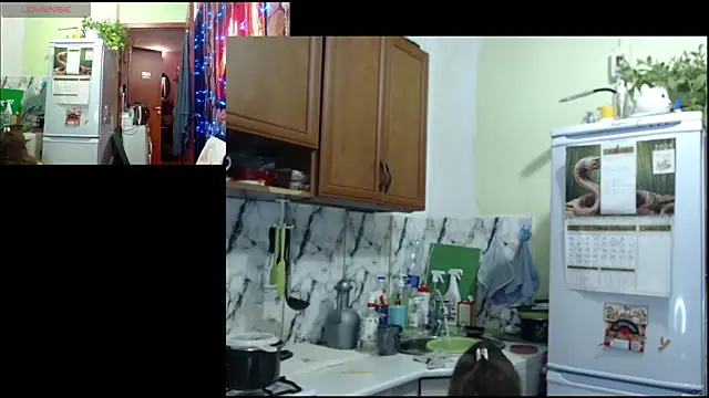 Snapshot of Sakura_Green chatting on 12-22-25, 03:31 Sakura Green online show from 12-22-25, 03:31