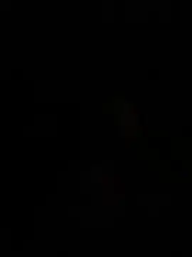 cutiesigh online show from 02-25-26, 12:31