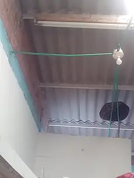 mailo bronw online show from 03-30-26, 03:13