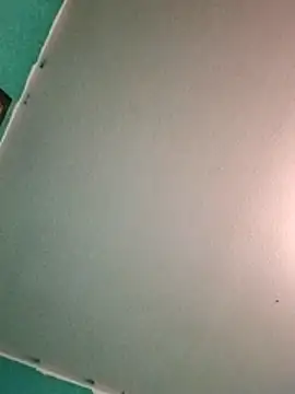 Treemandude online show from 06-29-26, 05:57