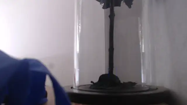 Janna099 online show from 09-21-25, 05:58