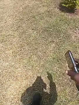 NattyDreadKenya online show from 07-29-26, 09:51