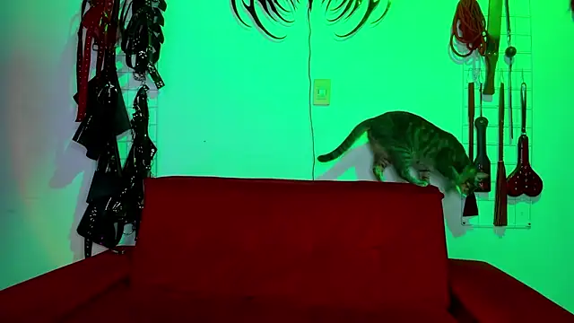 Snapshot of irregular_fetish_ chatting on 02-19-26, 06:59 irregular fetish online show from 02-19-26, 06:59