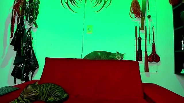 Snapshot of irregular_fetish_ chatting on 02-26-26, 07:46 irregular fetish online show from 02-26-26, 07:46