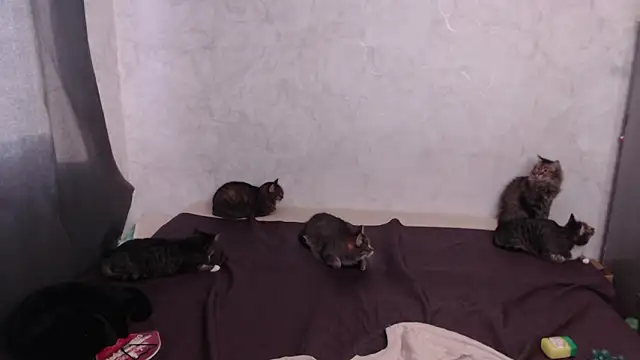 Olivia Winston online show from 03-20-26, 12:54