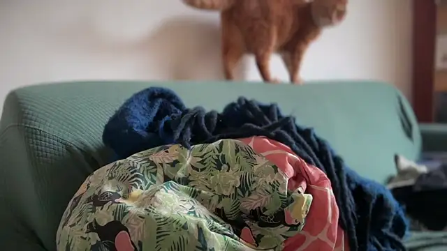 Brianjonest online show from 03-22-26, 04:21