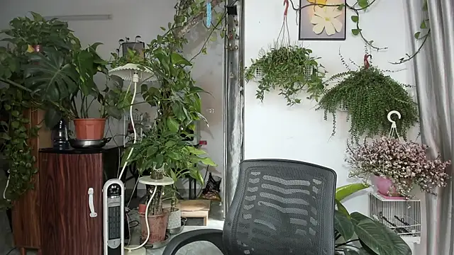 Oliver Nl online show from 03-27-26, 03:45