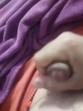 Snapshot of dredre1069 chatting on 02-02-26, 03:05 dredre1069 online show from 02-02-26, 03:05