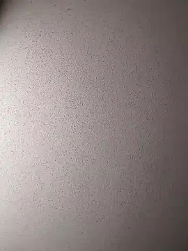 Dogz n daugthers online show from 12-17-24, 07:48