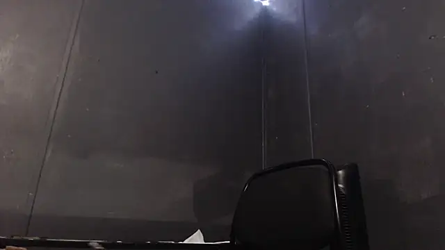 Dogz n daugthers online show from 01-29-25, 08:25