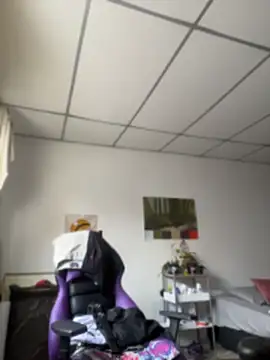  Apola 77 online show from 04-15-26, 08:31