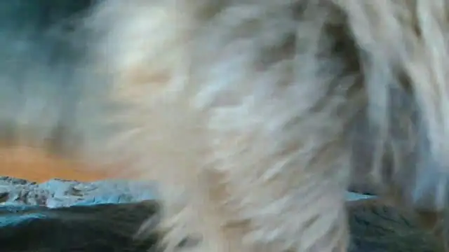 Andra Love online show from 05-24-26, 07:08