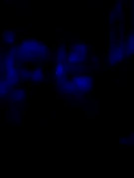Snapshot of AlphaAlluring69 chatting on 05-11-26, 05:46 AlphaAlluring69 online show from 05-11-26, 05:46