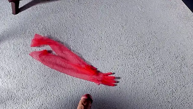 Dorothy Meyer online show from 03-27-26, 08:26