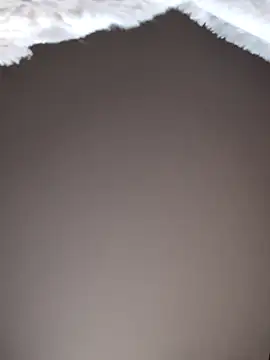 Snapshot of No-ties-fk chatting on 02-08-26, 01:14 No-ties-fk online show from 02-08-26, 01:14