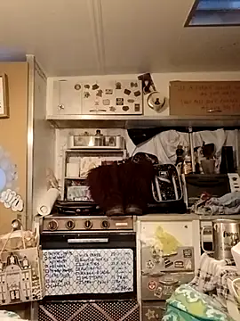 whitetrashdirtyslut online show from 03-18-26, 01:14