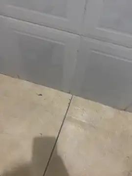 rafahpirusudo online show from 03-18-26, 09:01