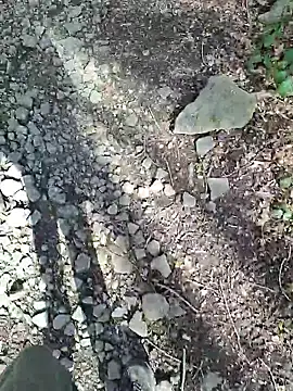 FreezingTie850 online show from 04-06-26, 10:16