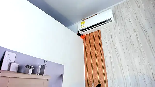 Alika01 online show from 04-12-26, 03:06