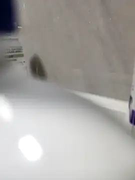 Beijing2000 online show from 03-27-26, 11:32