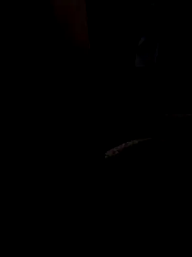 ySqmbVanbe online show from 03-13-26, 08:43