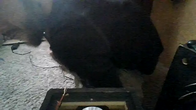 ySqmbVanbe online show from 03-15-26, 05:52