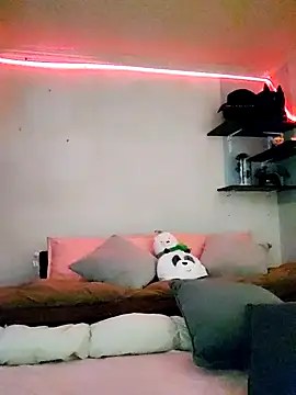 Paudelatorre online show from 02-08-26, 08:45