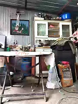 Snapshot of Sarpe84 chatting on 01-24-25, 09:17 Sarpe84 online show from 01-24-25, 09:17