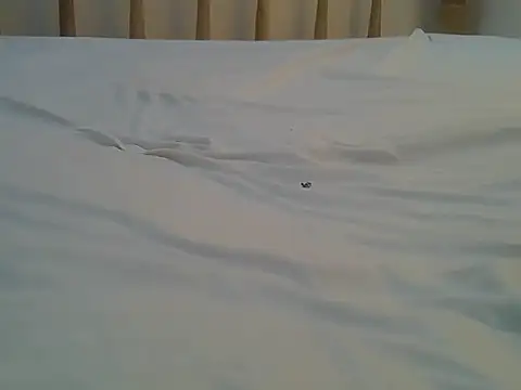 Mercydiva online show from 02-09-26, 07:23