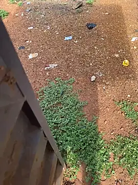 Black-mamba-madingo online show from 04-04-26, 08:23