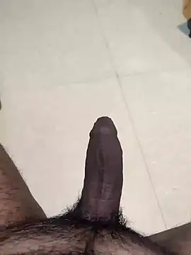 saiTeluguhyd online show from 01-25-25, 07:49