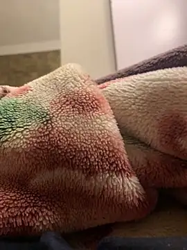 Gengista88 online show from 02-15-26, 01:24