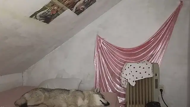 MAMA69LAMA online show from 03-09-26, 07:40