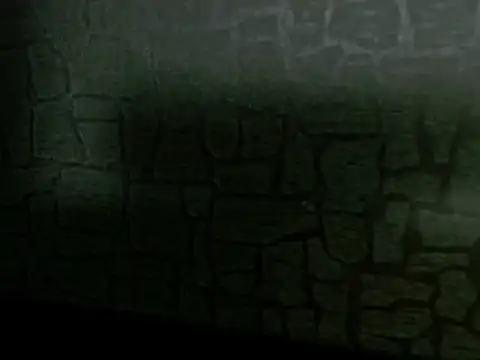 Lilyevansx online show from 10-12-25, 04:06