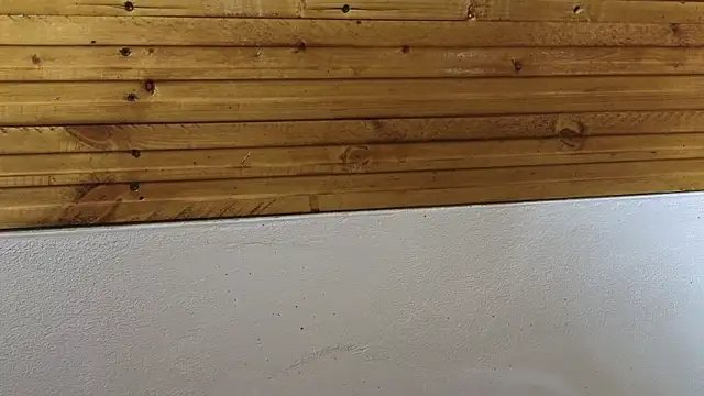 00loret online show from 02-20-25, 03:30