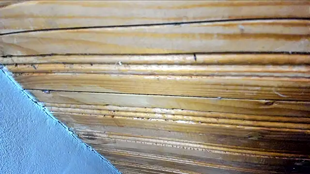 00loret online show from 02-21-25, 10:39