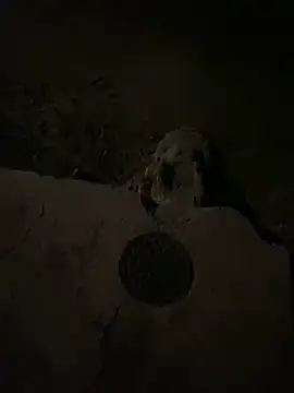 Snapshot of nowex18 chatting on 03-06-25, 06:52 nowex18 online show from 03-06-25, 06:52