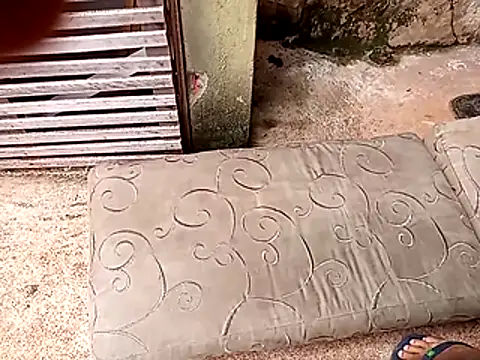 wel9238 online show from 02-25-26, 04:38