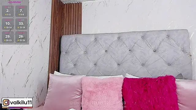 Snapshot of valkilu11 chatting on 02-13-26, 11:23 valkilu11 online show from 02-13-26, 11:23