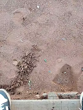 TornadoStorm35 online show from 03-30-26, 01:56