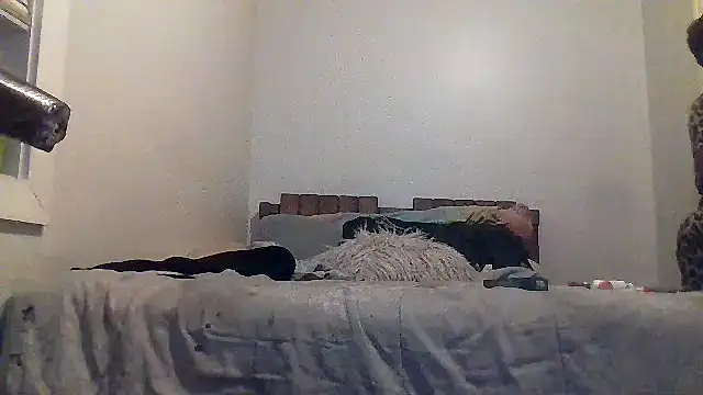 AllLeggs online show from 03-20-26, 03:33