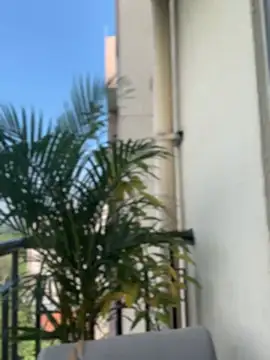 Snapshot of Pretty_Isadora chatting on 02-04-26, 08:03 Pretty Isadora online show from 02-04-26, 08:03